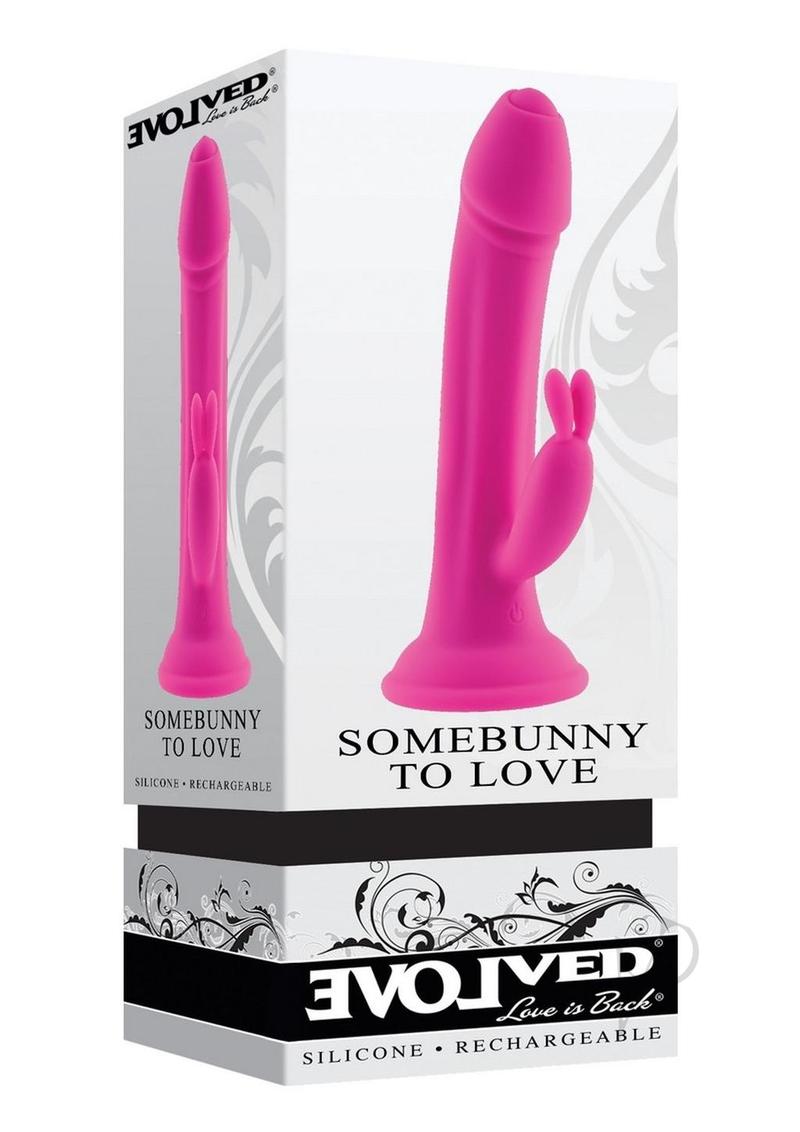Somebunny To Love P… - image