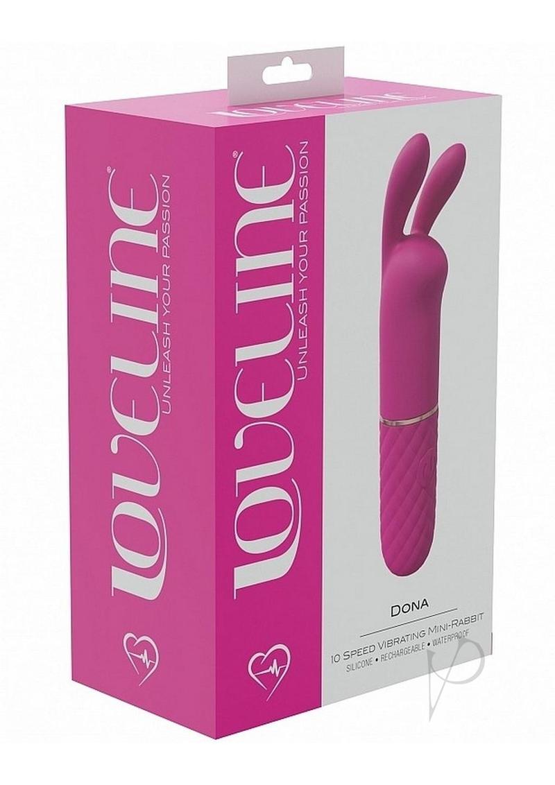 Dona Mini Rabbit Pi… - image
