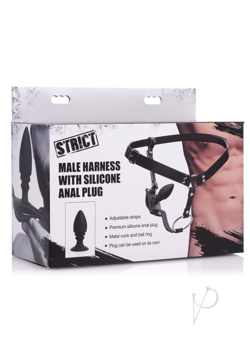 Strict Male Harness… - image