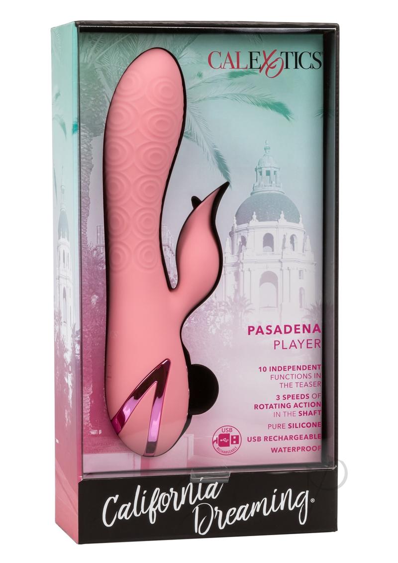 Cali Dreamin Pasade… - image
