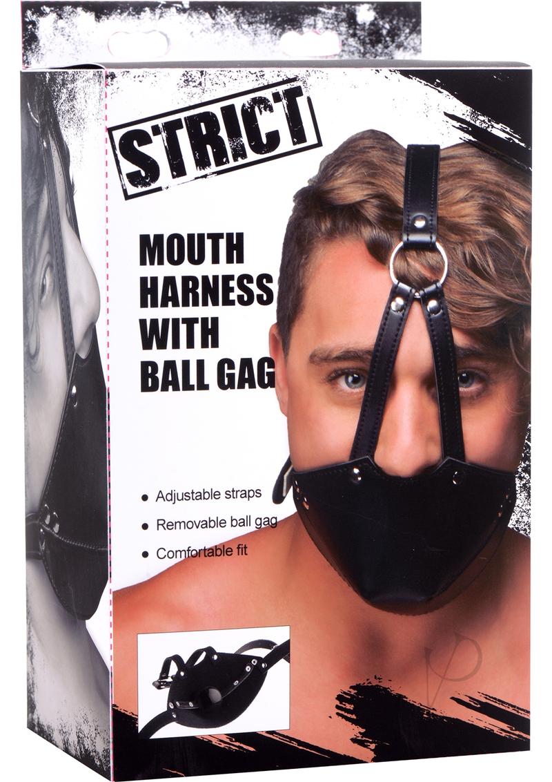 Strict Mouth Harnes… - image