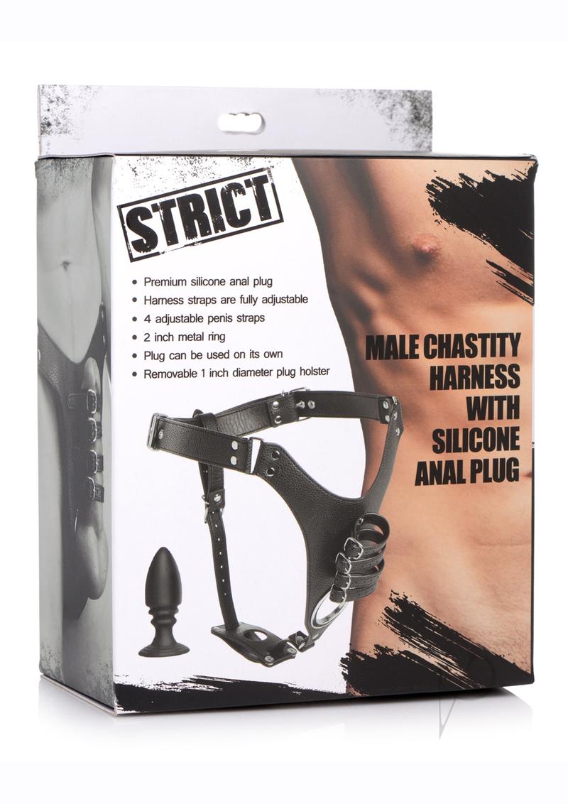 Strict Male Chastit… - image