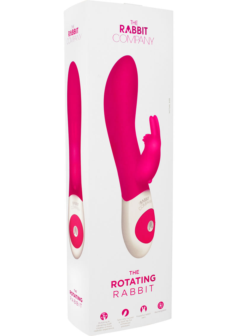 The Rotating Rabbit… - image